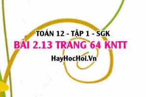 Bài 2.13 trang 64 Toán 12 tập 1 Kết nối tri thức